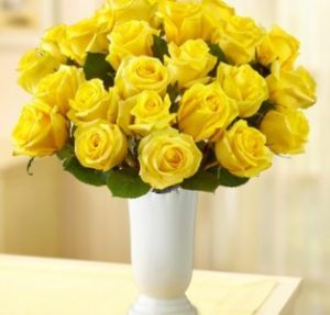 Rosas del Sol